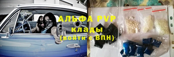 крисы Белокуриха