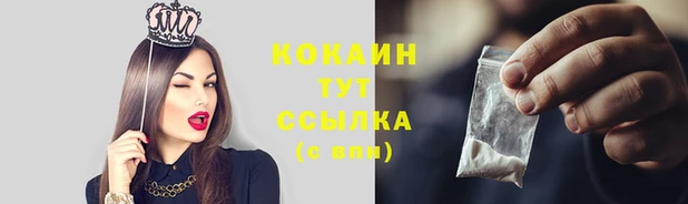 крисы Белокуриха