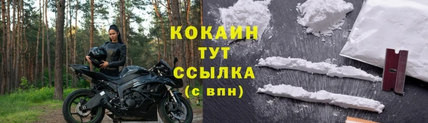 крисы Белокуриха