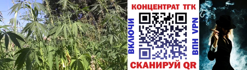 Дистиллят ТГК вейп с тгк как найти закладки Светлый