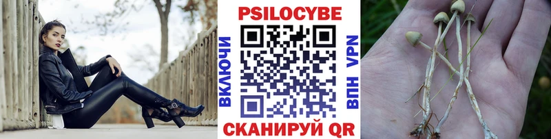 Псилоцибиновые грибы MAGIC MUSHROOMS  Светлый 